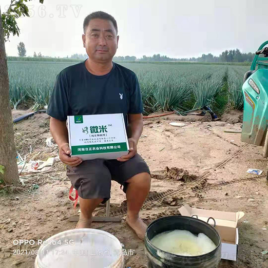 细菌、真菌、病毒病轮番爆发!难辨难控!快用“它”,无需识别,打上就! 细菌、真菌、病毒病轮番爆发!难辨难控!快用“它”,无需识别,打上就!